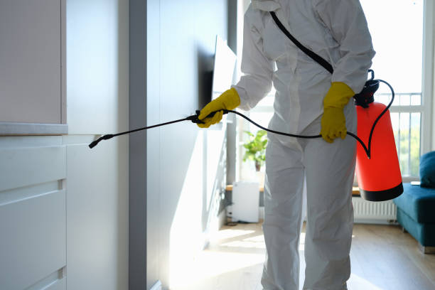 Best Emergency Mold Remediation in North Scituate, MA