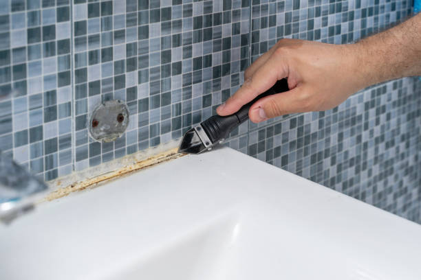 Reliable North Scituate, MA Mold Remediation Solutions