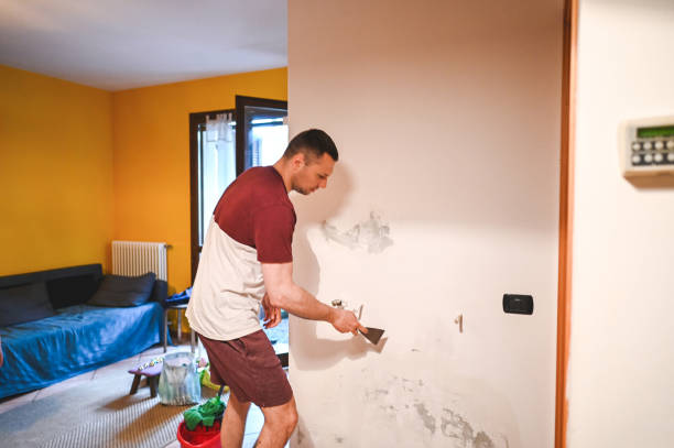 Best Residential Mold Remediation in North Scituate, MA